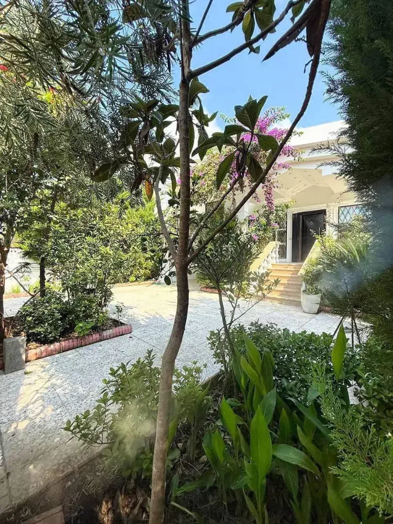 قشنگتر از این تو این رنج من ندیدم/فروش فوری/|فروش خانه و ویلا|نور, |دیوار