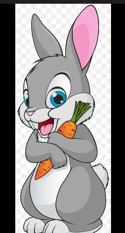 خرگوش فروشی|موش و خرگوش|قزوین, |دیوار