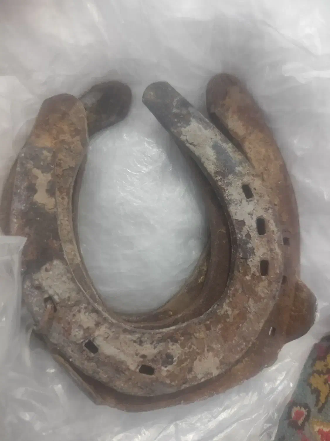 نعل اسب کارکرده|اسب و تجهیزات اسبسواری|چابهار, |دیوار