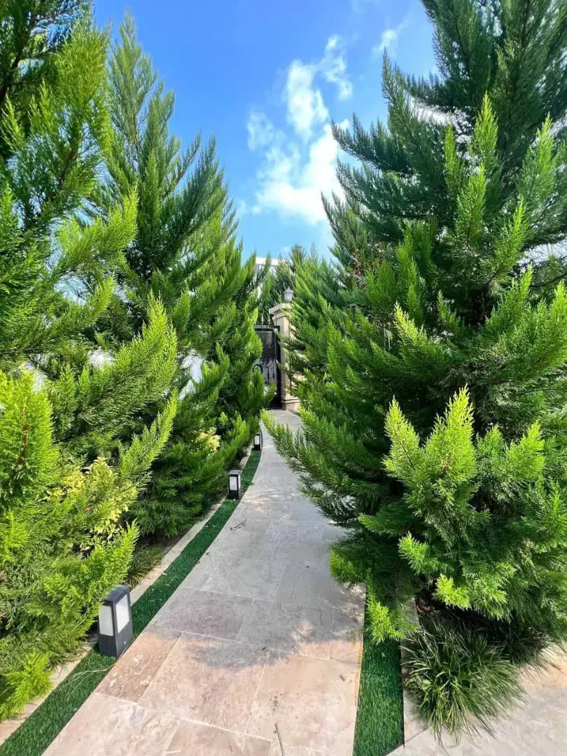 ویلایی ' دنج ' لوکیشن بی نظیر / اقساط ۲ ساله|فروش خانه و ویلا|چالوس, |دیوار