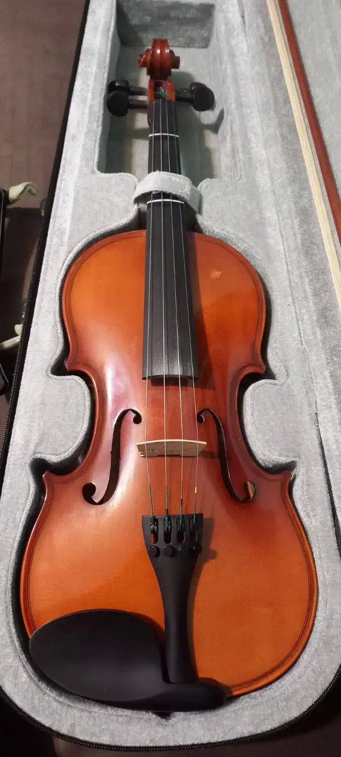 ویولن تی اف استیودنت (TF student)|ویولن|کرج, فاز ۳ گوهردشت|دیوار