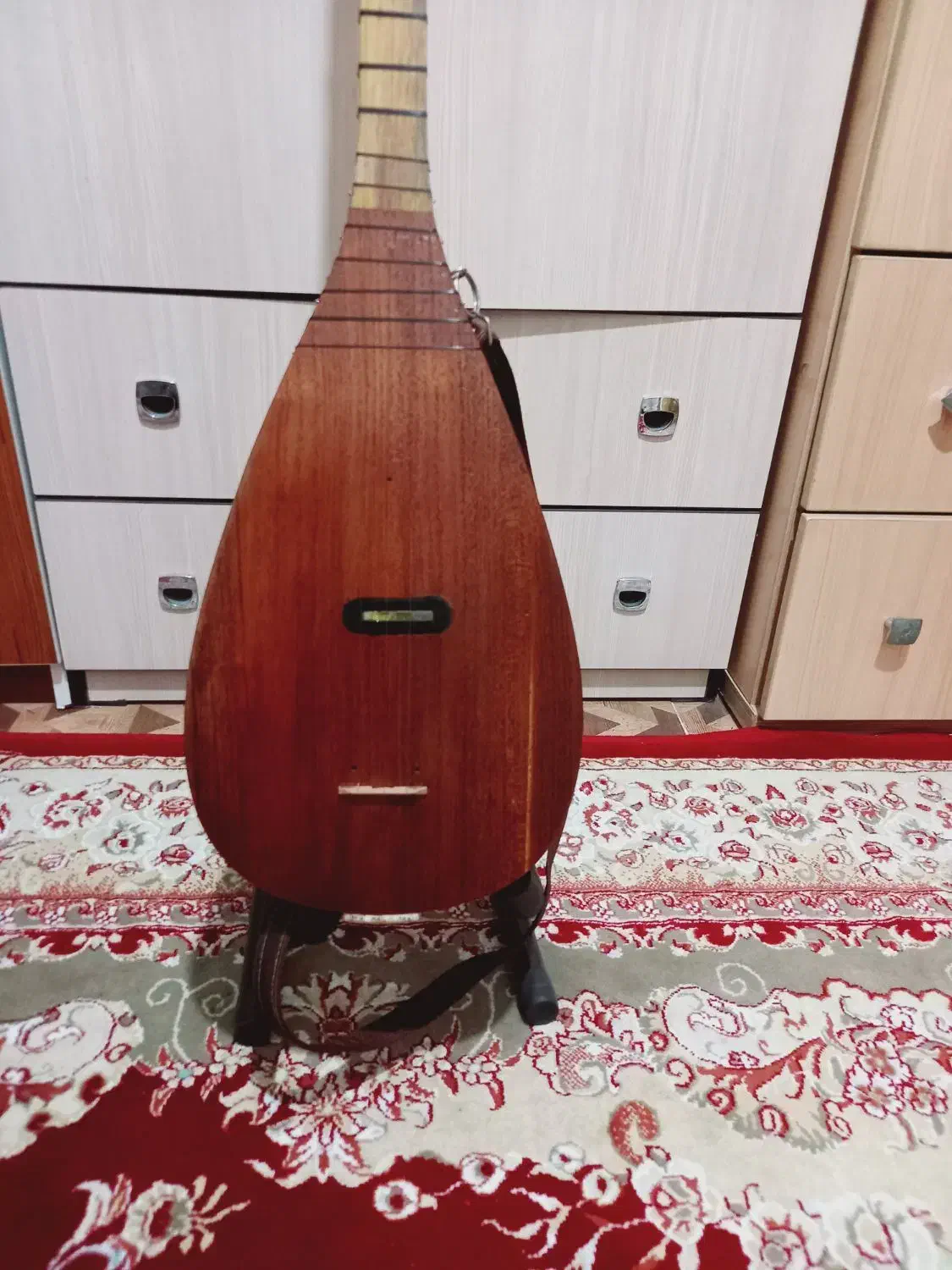 ساز قوپوز برقی|سازهای سنتی|ری, حمزه‌آباد|دیوار