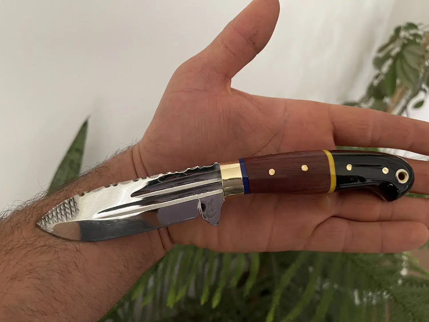 کاردشکاری|کلکسیون اشیاء عتیقه|نقده, |دیوار