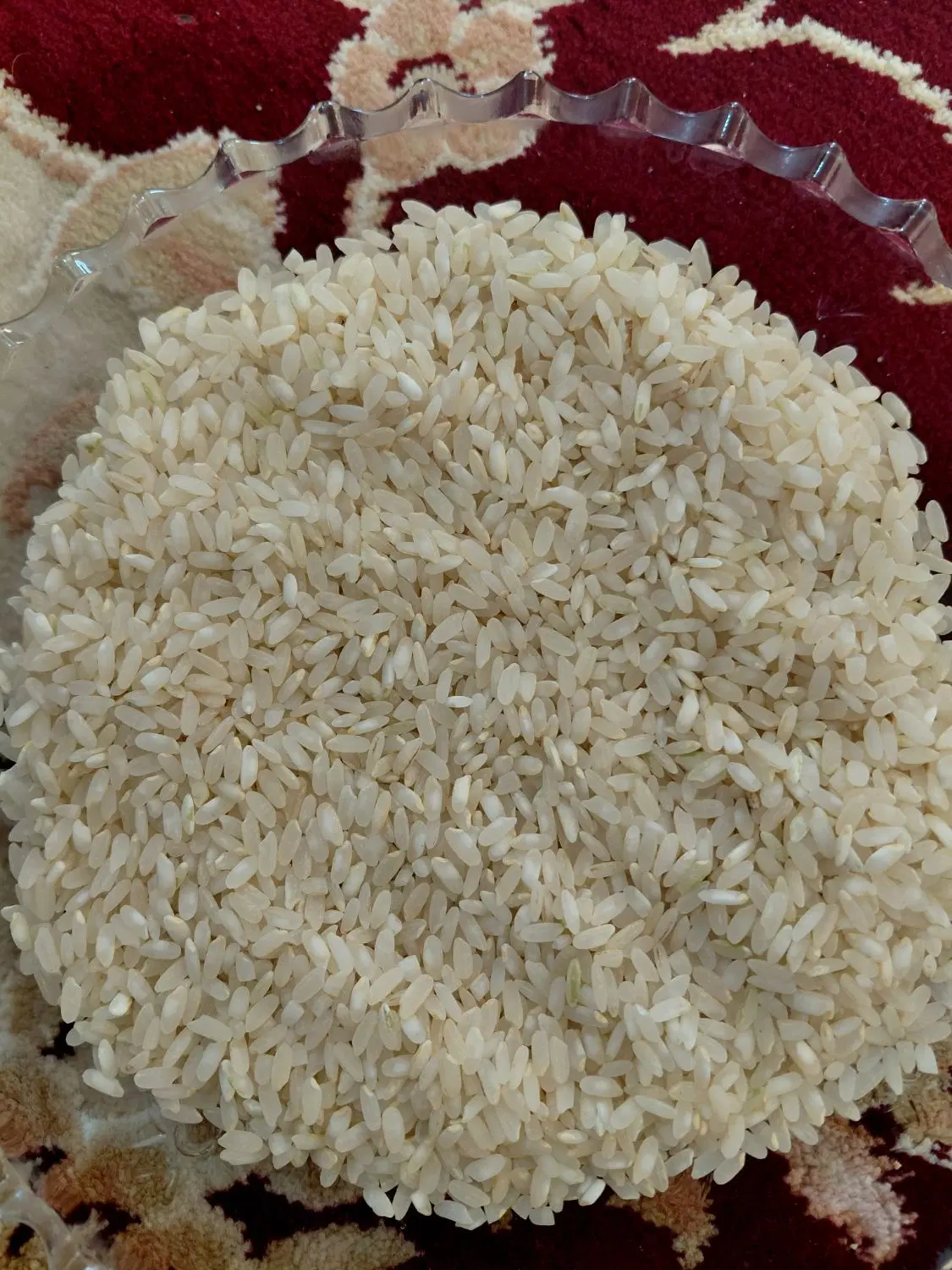 برنج|خوردنی و آشامیدنی|کامفیروز, |دیوار