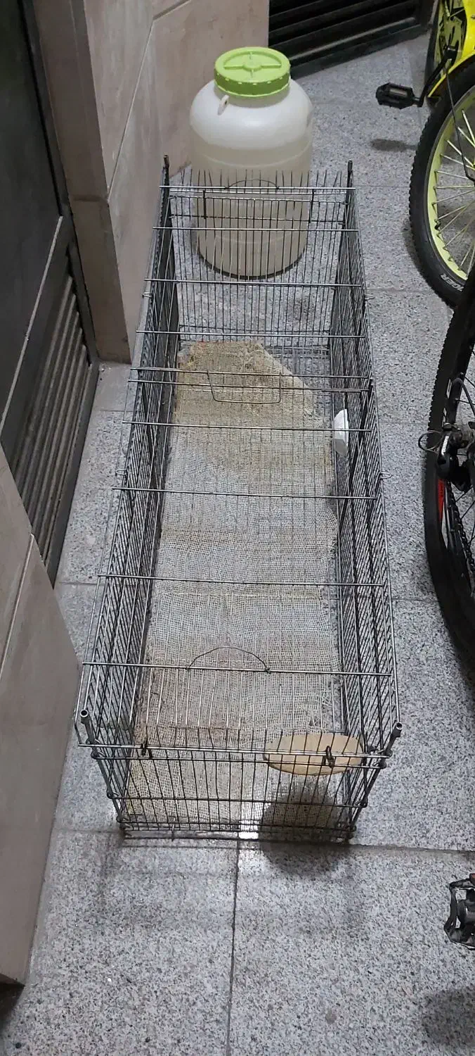 قفس بزرگ|پرنده|تهران, مجیدآباد|دیوار