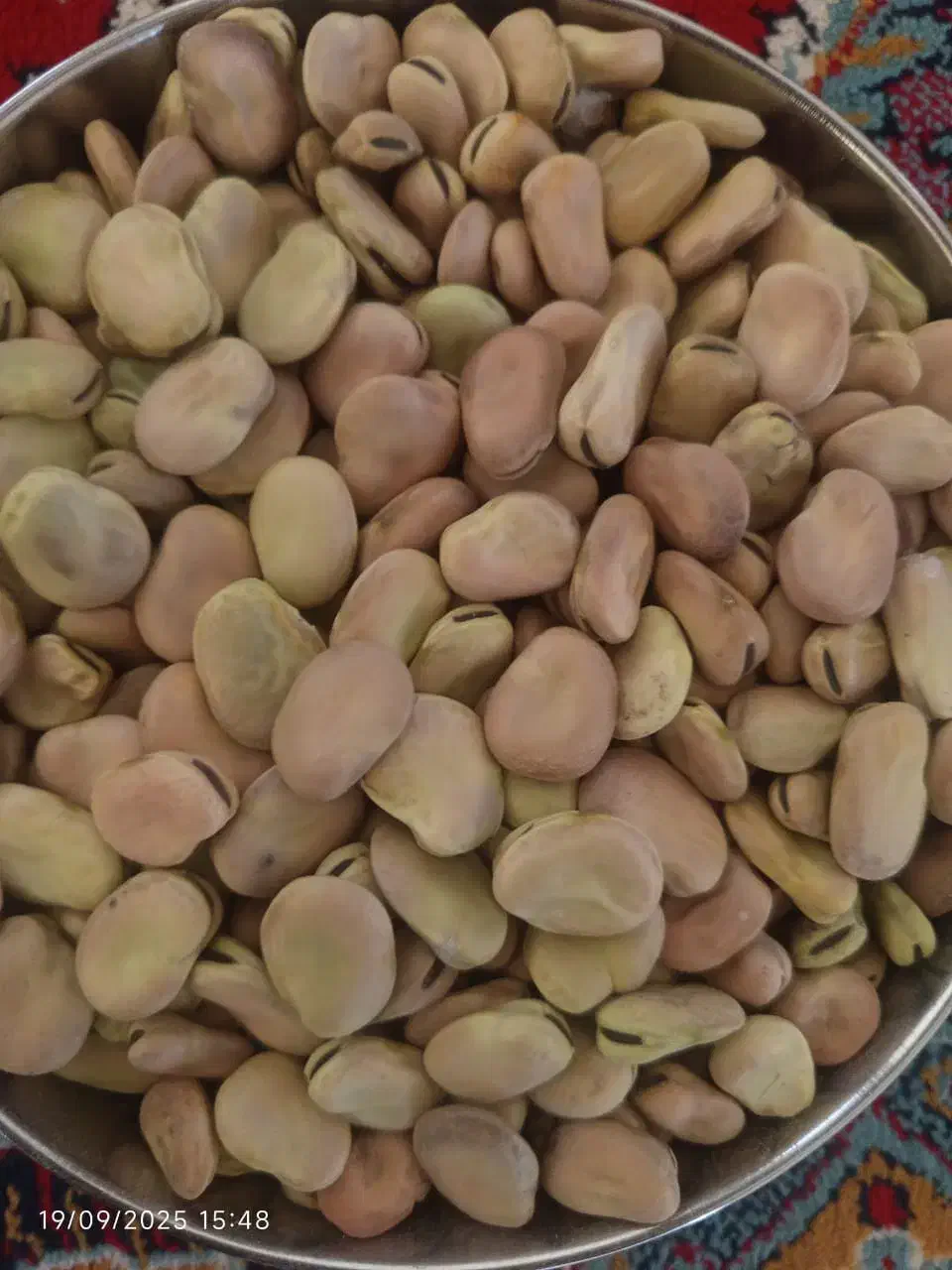 باقلا،باقالی،باقله|خوردنی و آشامیدنی|ماهیدشت, |دیوار