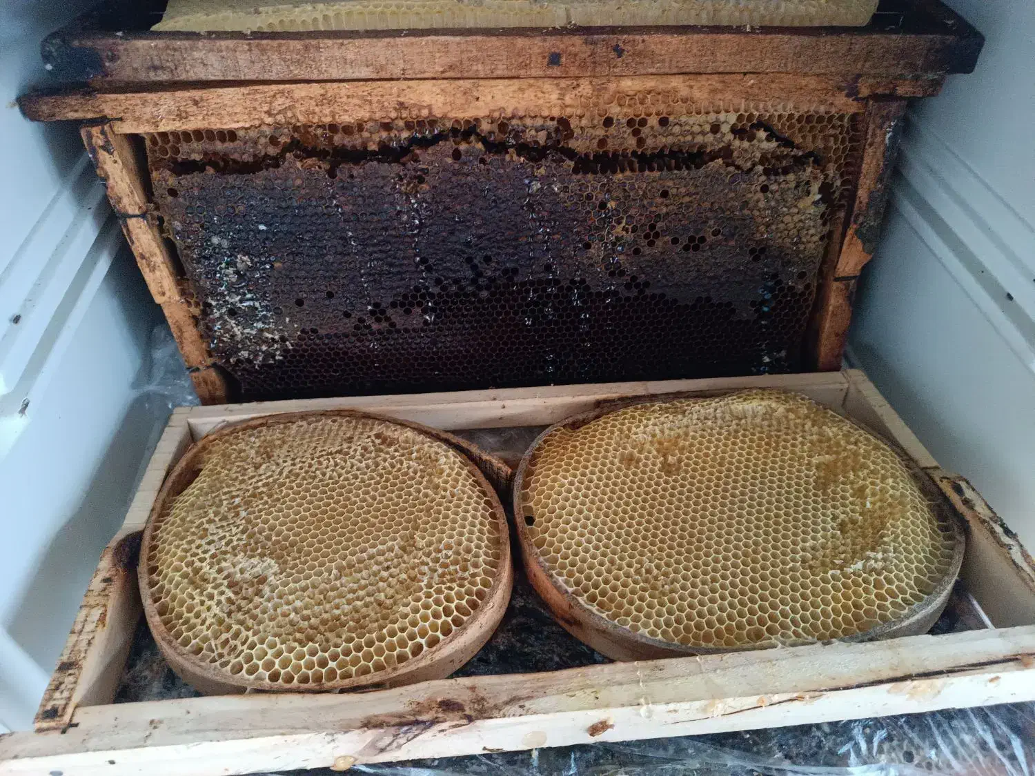 عسل طبیعی به زمانت آزمایشگاه|خوردنی و آشامیدنی|ربط, |دیوار