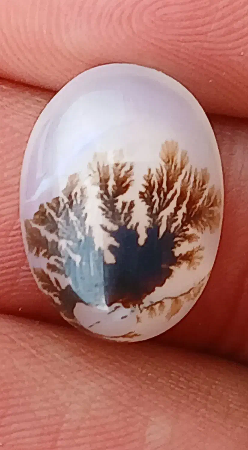 شجر|جواهرات|رضویه, |دیوار