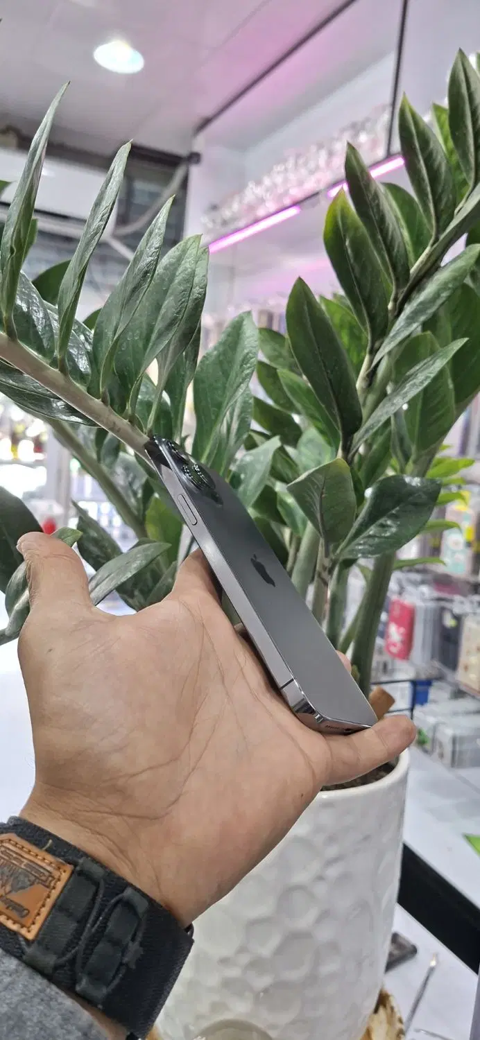 iphone 13promax 256GIG ZA/A|موبایل|قرچک, مهدیه|دیوار