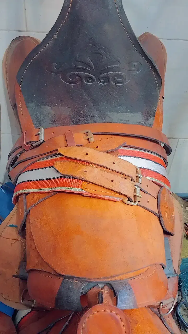 زین|اسب و تجهیزات اسب‌سواری|بروجرد, |دیوار