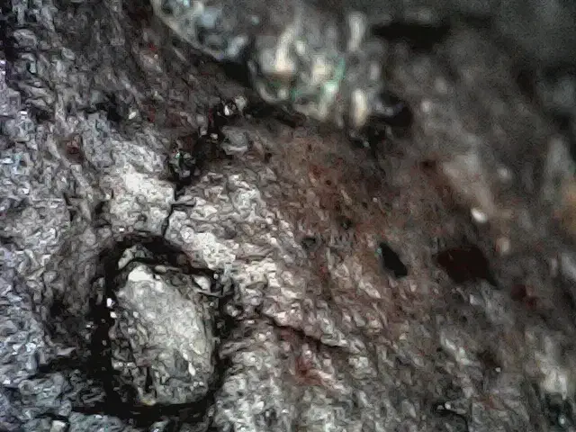 شهاب سنگ کربنی|کلکسیون اشیاء عتیقه|بندرعباس, |دیوار