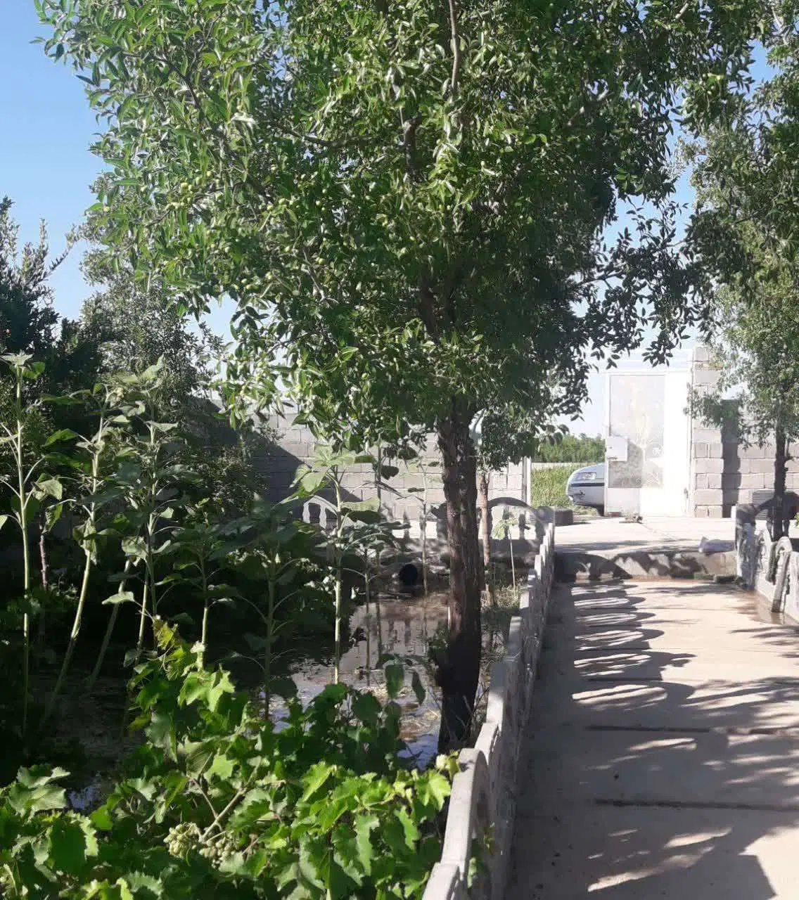 تصویر 2