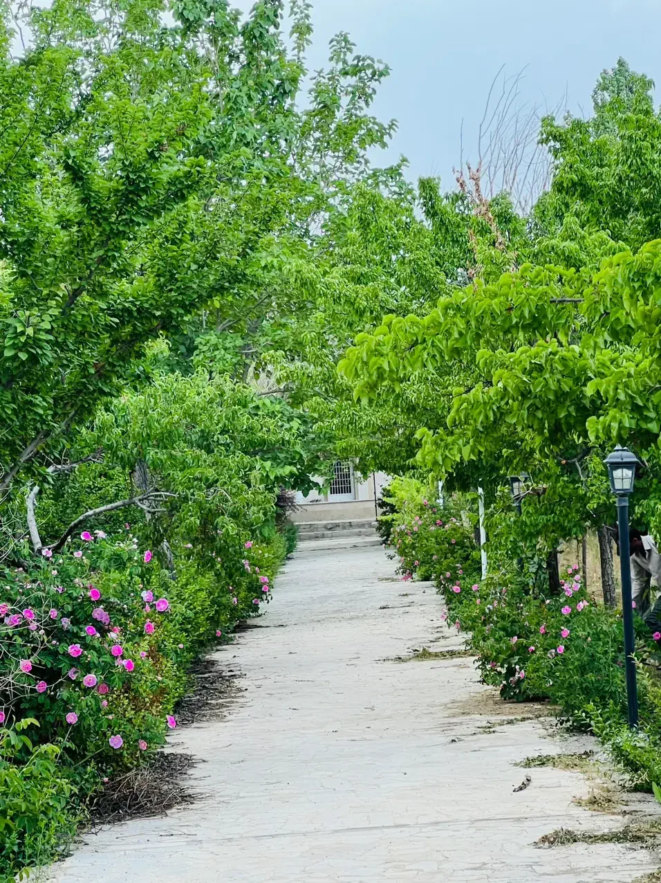 باغ ویلا 535 متری سنددار نقد و اقساط|فروش زمین و ملک کلنگی|مشهد, توس فردوسی|دیوار