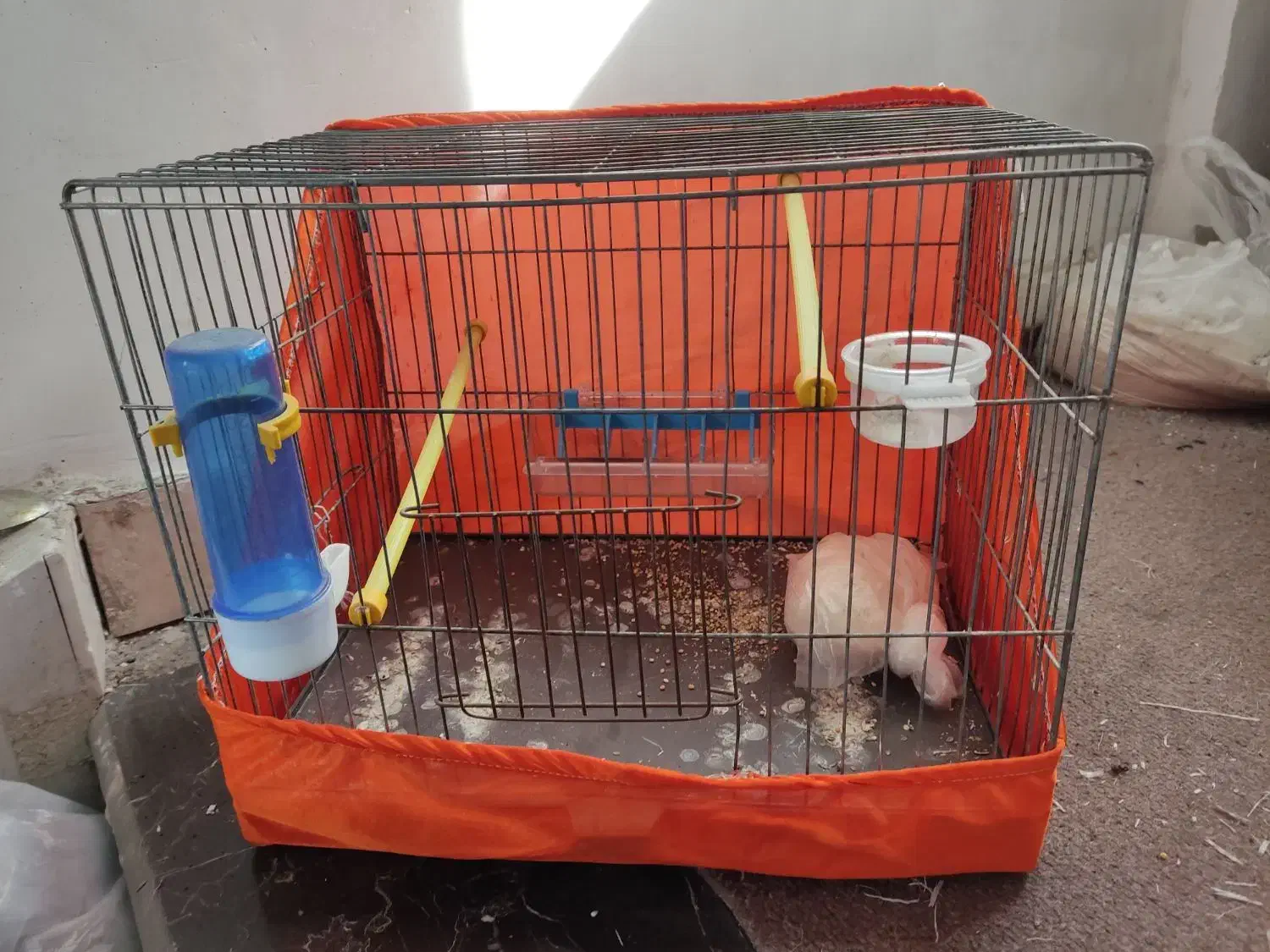 قفس پرنده|لوازم جانبی حیوانات|اردبیل, |دیوار