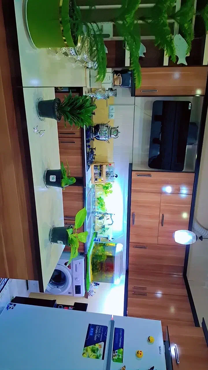 شهرک پیام یکواحد ازچهارواحده|فروش آپارتمان|اهواز, شهرک پیام|دیوار