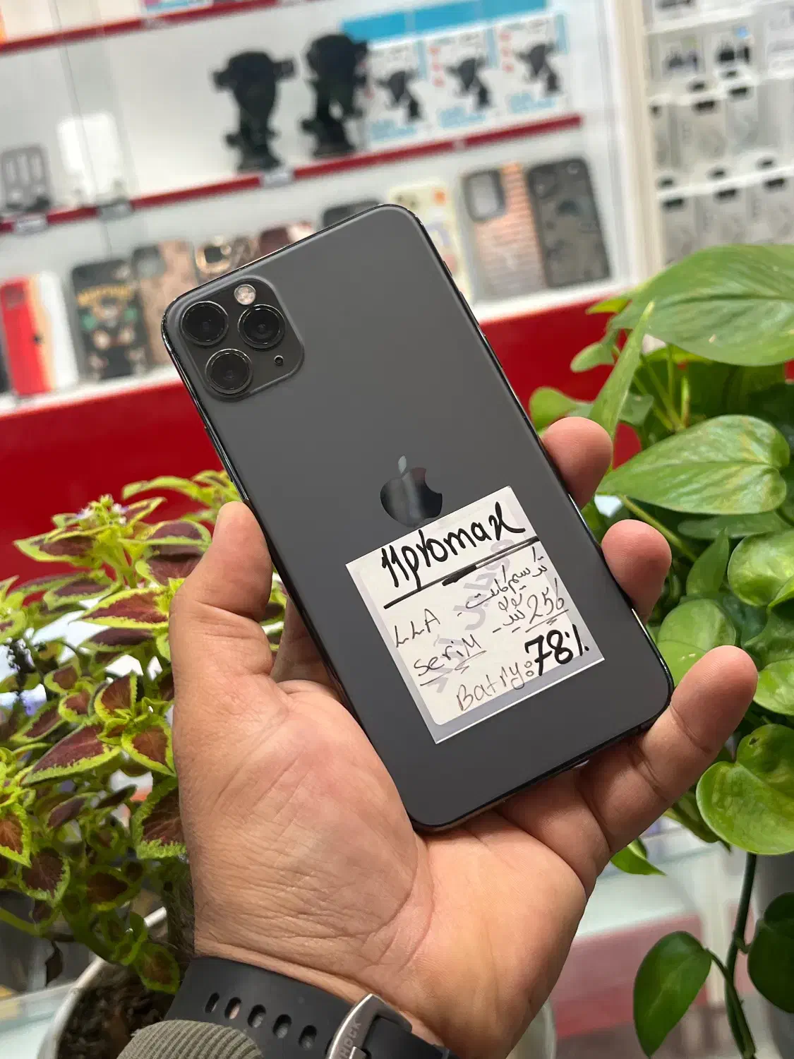 iPhone 11 promax|موبایل|شیراز, زند|دیوار