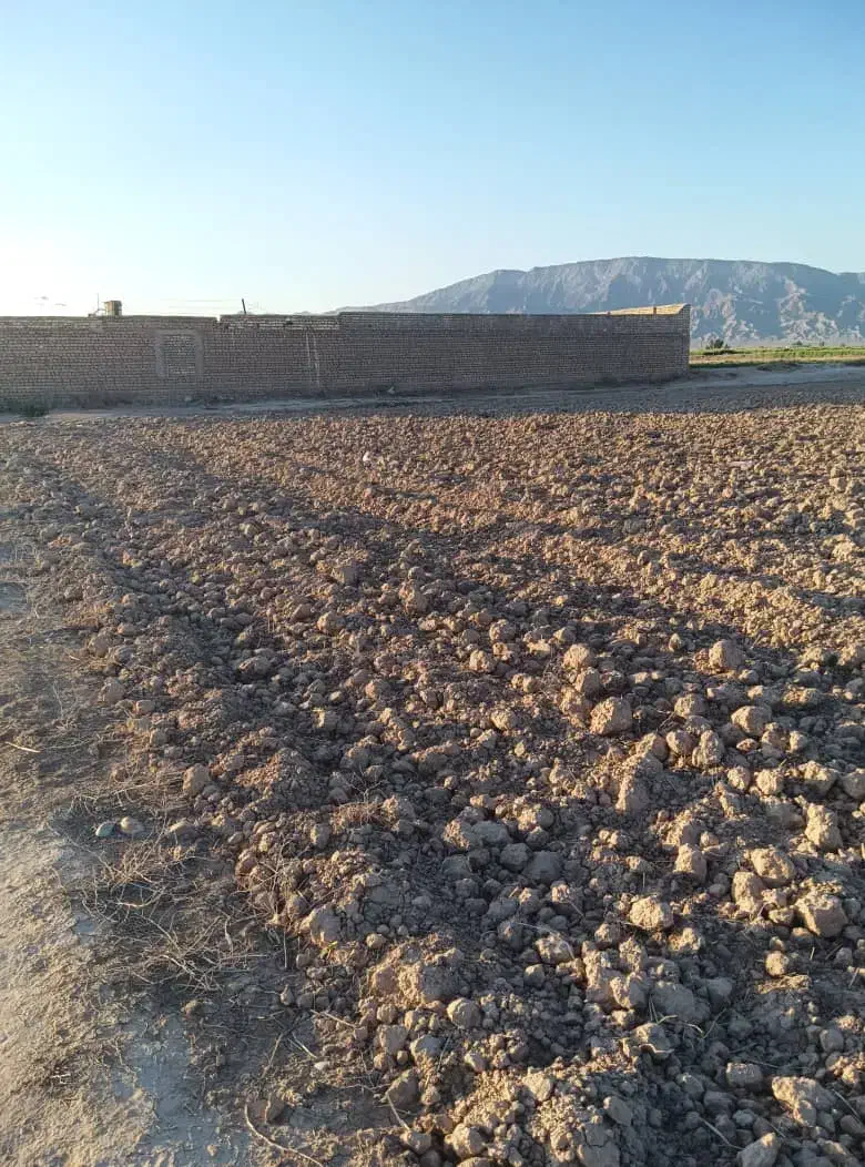 زمین کشاورزی  مناسب سرمایه گذاری برق و گاز داره|فروش دفتر صنعتی، کشاورزی، تجاری|گرمسار, |دیوار