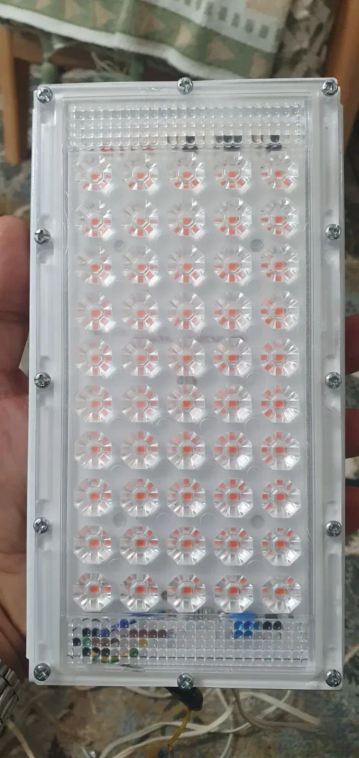 دو عدد لامپ رشد گیاه|لامپ و چراغ|فولادشهر, C4|دیوار