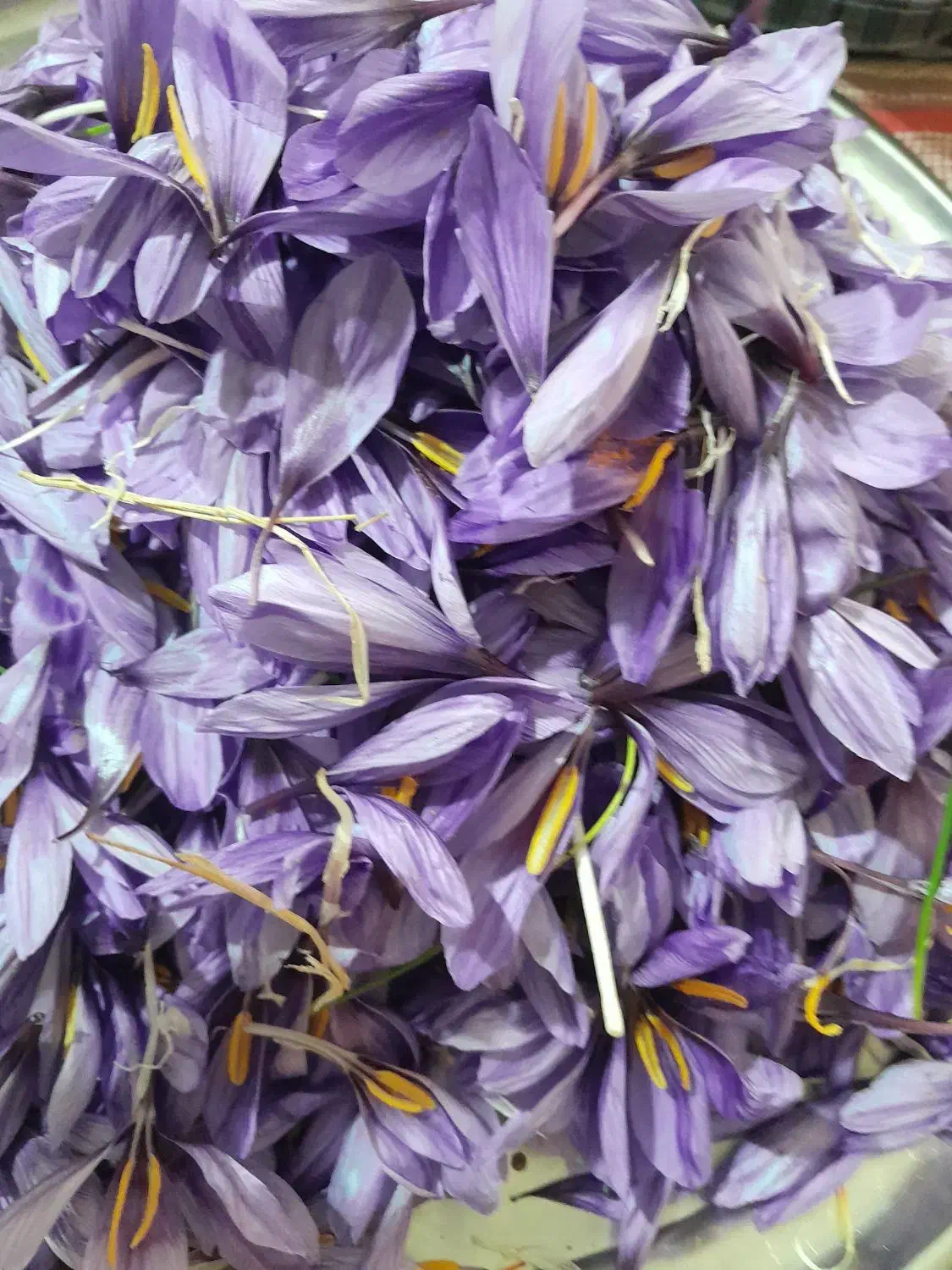 زعفران درجه یک کشاورز بدون واسطه با بسته بندی|خوردنی و آشامیدنی|خرمآباد, |دیوار