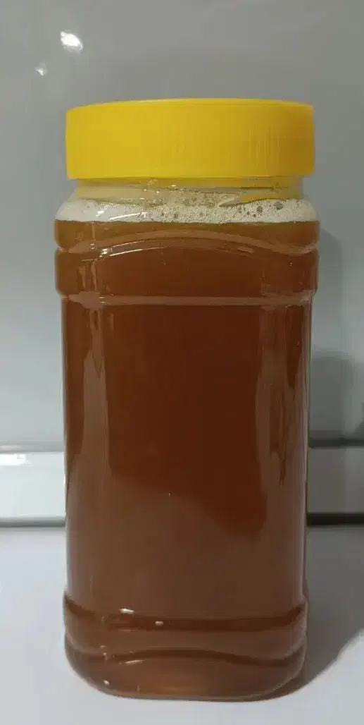 عسل کنار خالص و عسل کنار همراه با موم|عمدهفروشی|لامرد, |دیوار