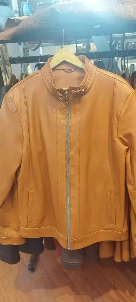 کاپشن مردانه و زنانه چرم گاوی|لباس|تهران, دروس|دیوار