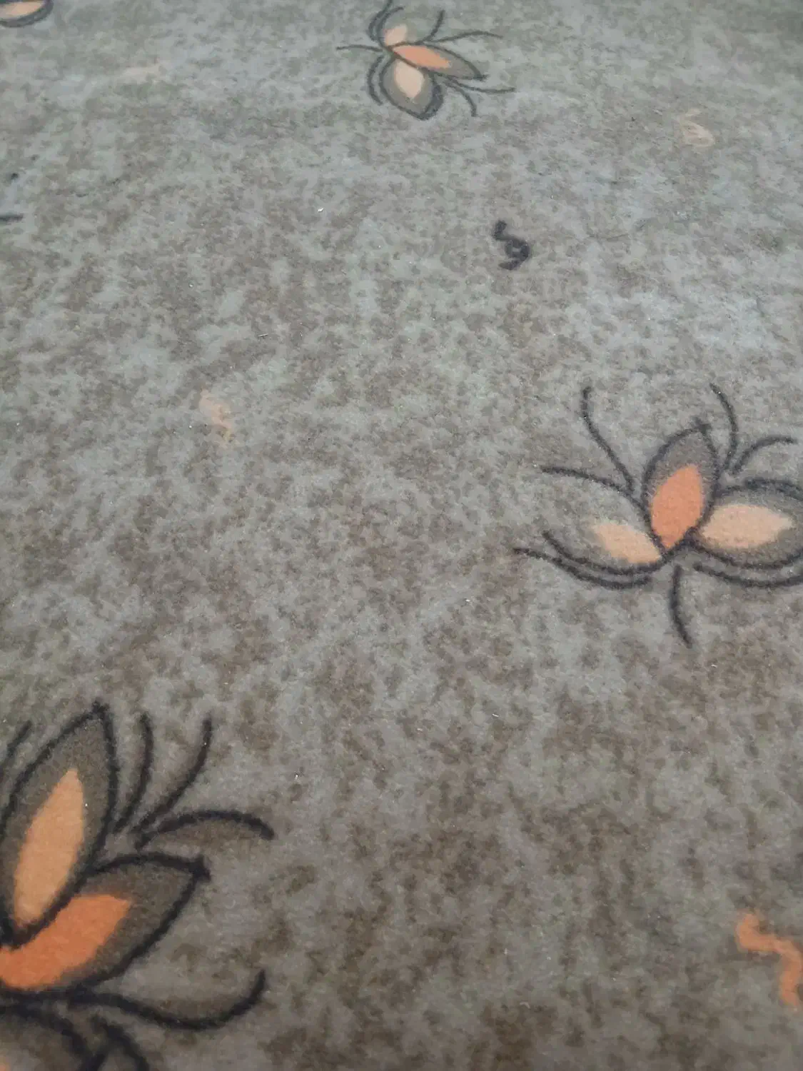 موکت|موکت|زاهدان, |دیوار