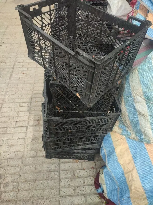 سبد|ظروف نگهدارنده، پلاستیکی، یک‌بارمصرف|همدان, |دیوار