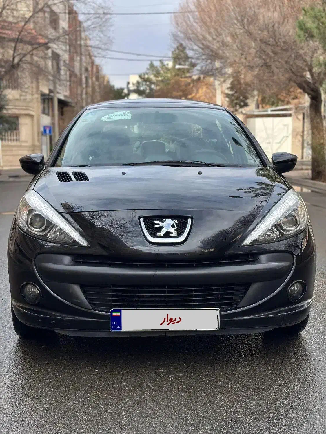 ۲۰۷ مدل ۱۴۰۱ پانا|خودرو سواری و وانت|کرج, کوی امامیه|دیوار