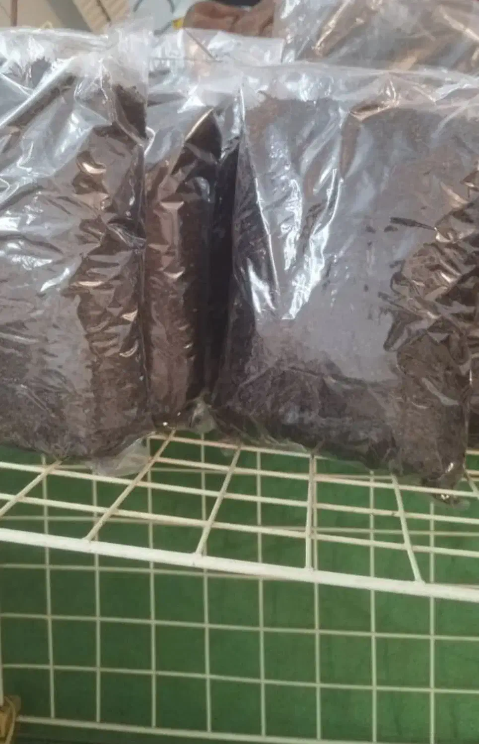 چای اصل لاهیجان|خوردنی و آشامیدنی|تهران, اباذر|دیوار