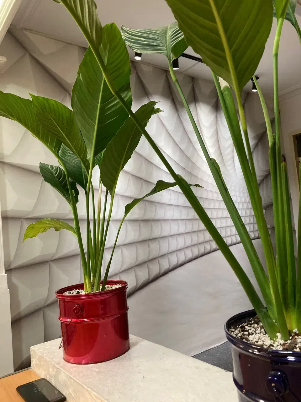 پانسیون کارمندی دانشجویی گیان|اجارهٔ کوتاهمدت آپارتمان و سوئیت|تهران, فردوس|دیوار