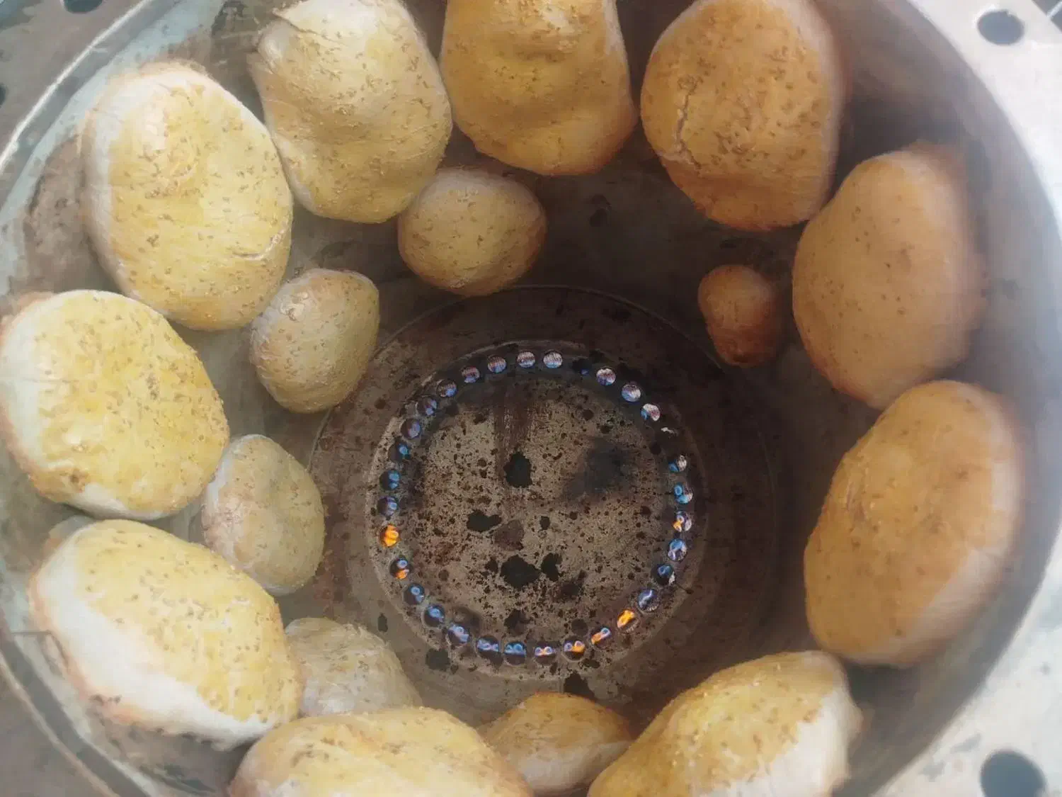 فروش فوری وضروری تنورگازی گرد|اجاق گاز و لوازم برقی پختوپز|سمنان, |دیوار