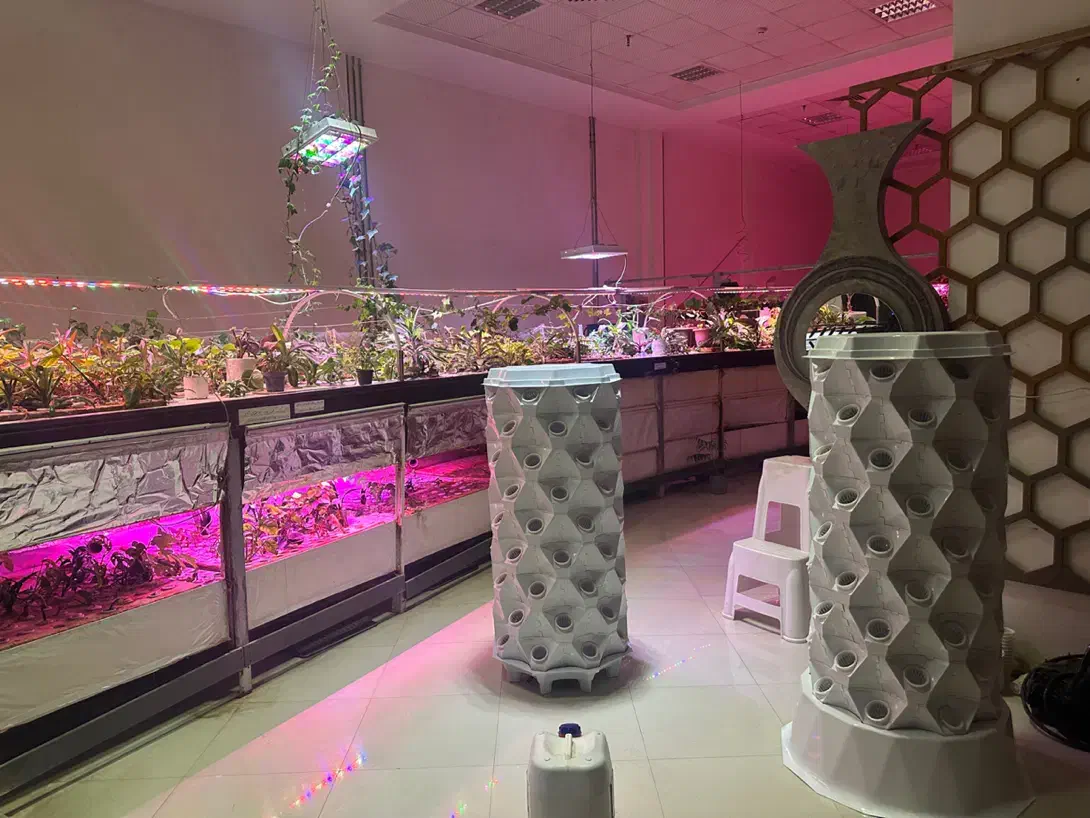 اوزون ساز مولد اوزون و نور مصنوعی کشت|ماشینآلات صنعتی|مشهد, فلسطین|دیوار