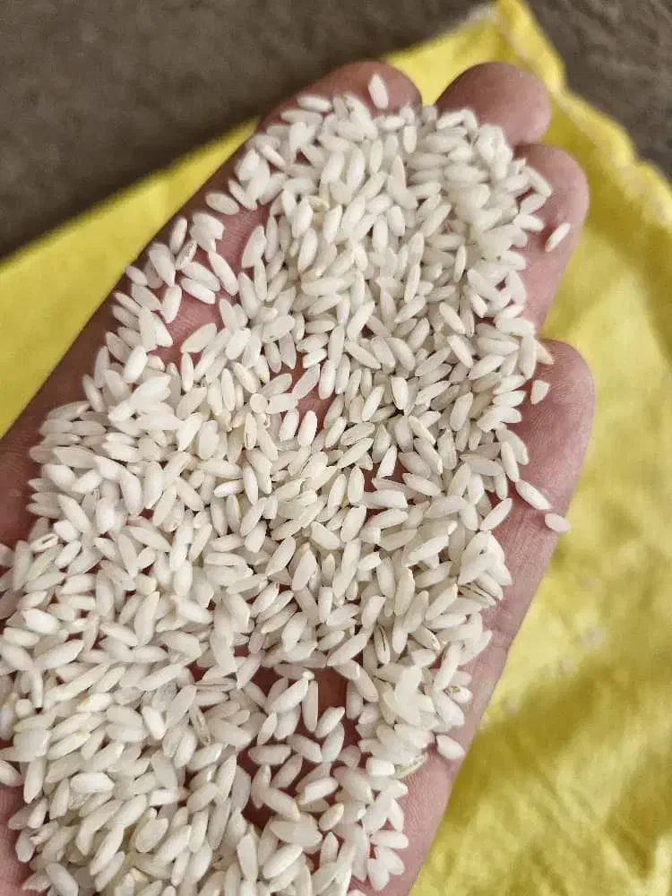 برنج خوزستان|خوردنی و آشامیدنی|تهران, قلهک|دیوار