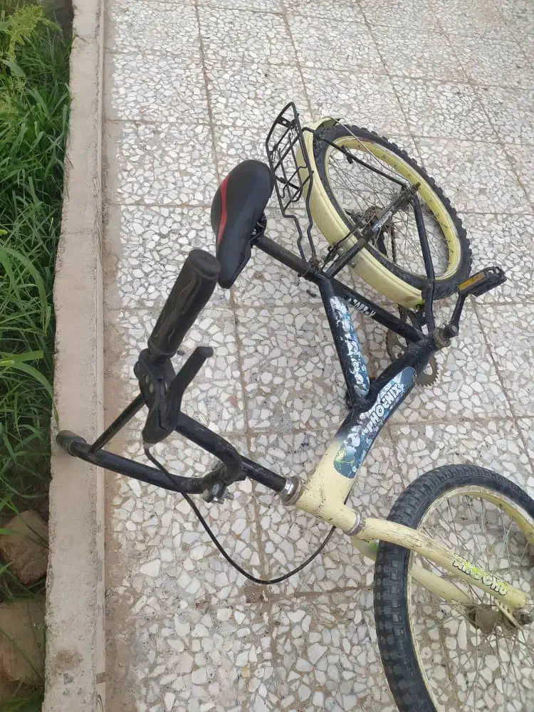 دوچرخه 20|اسباب‌بازی بچه|زابل, |دیوار