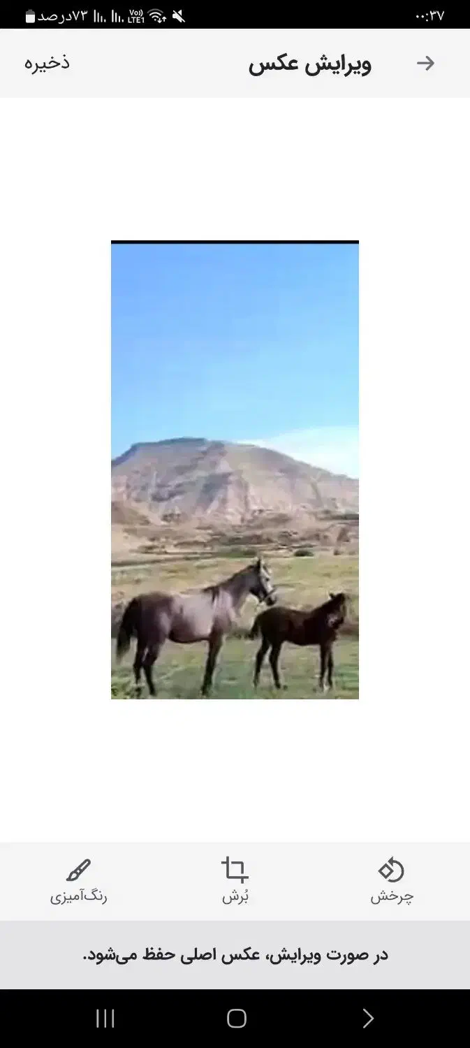 اسب مادیان درشوری|اسب و تجهیزات اسبسواری|دهدشت, |دیوار