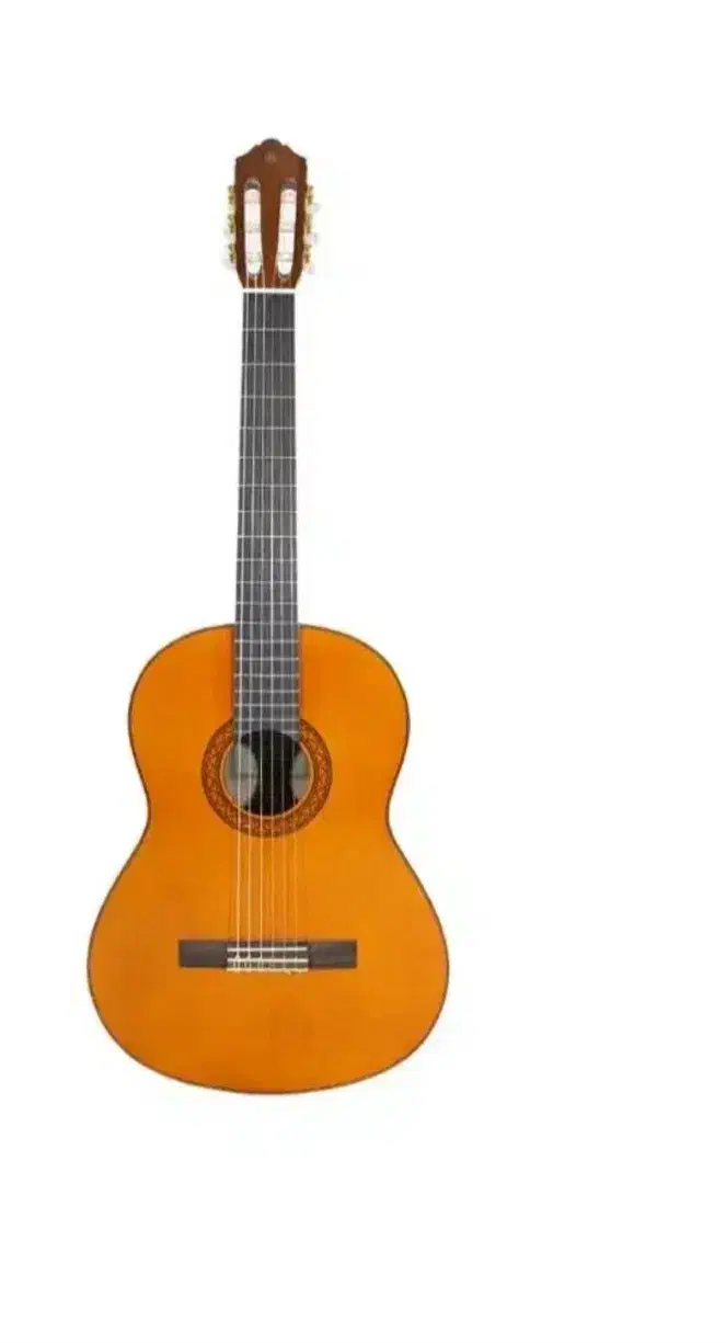 گیتار یاماها c70|گیتار، بیس، امپلیفایر|اندیشه, اندیشه فاز ۲|دیوار