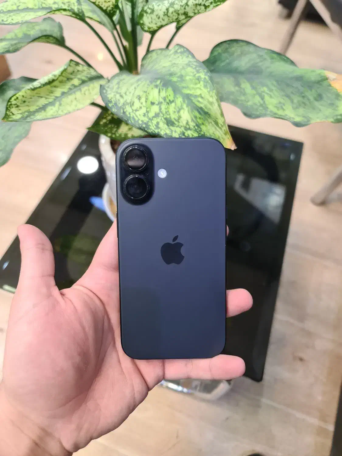 apple 16|موبایل|تهران, میرداماد|دیوار