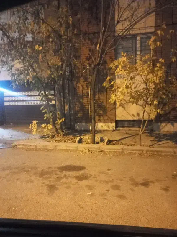 گمشده  کیف ابزار با وسایل کامل|اشیا|ایلام, |دیوار