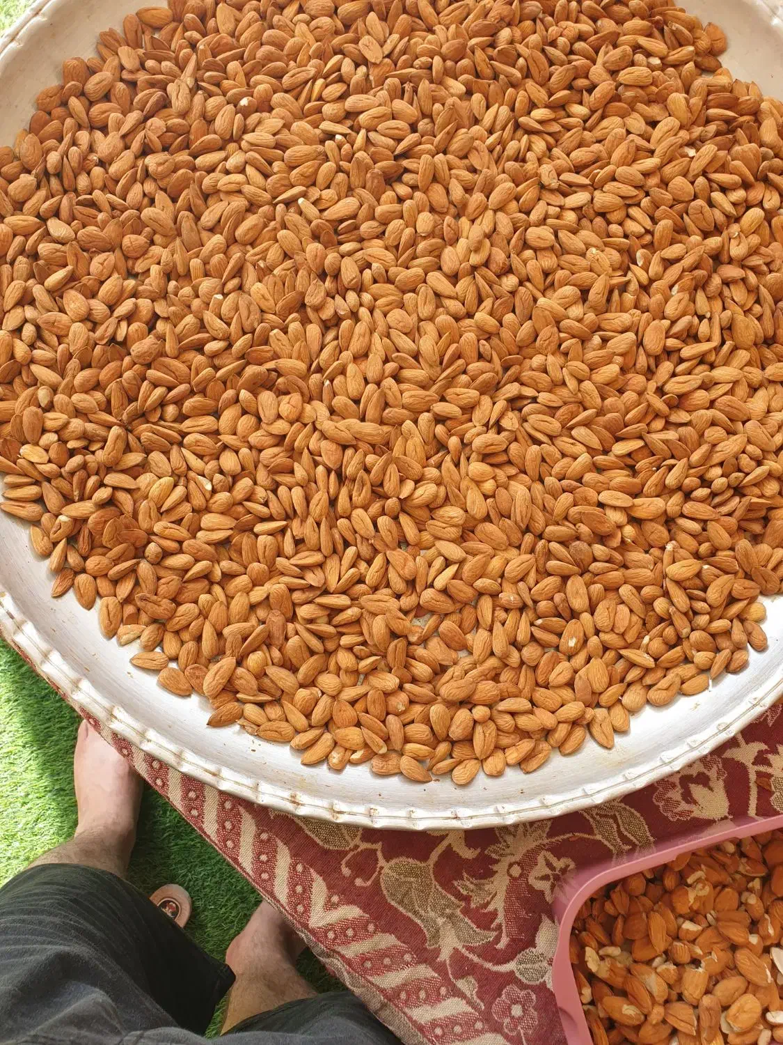بادام شاهرودی|خوردنی و آشامیدنی|کیار, |دیوار