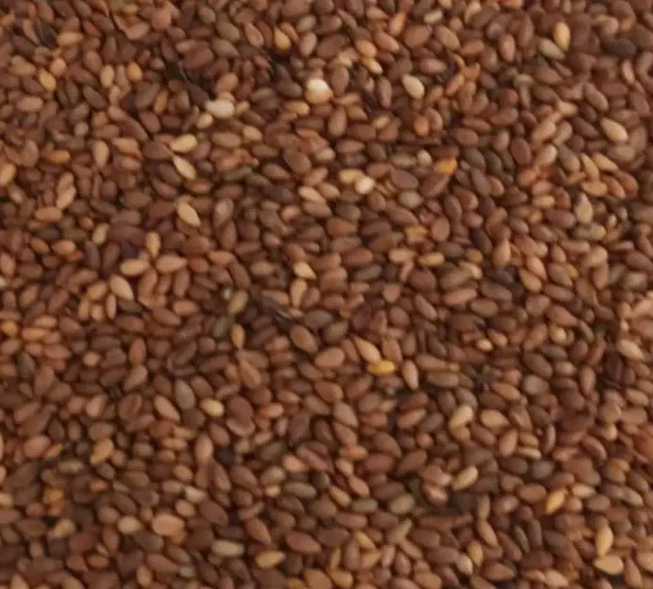 دنبال کنجد هستم|فعالیت داوطلبانه|سرپل ذهاب, |دیوار