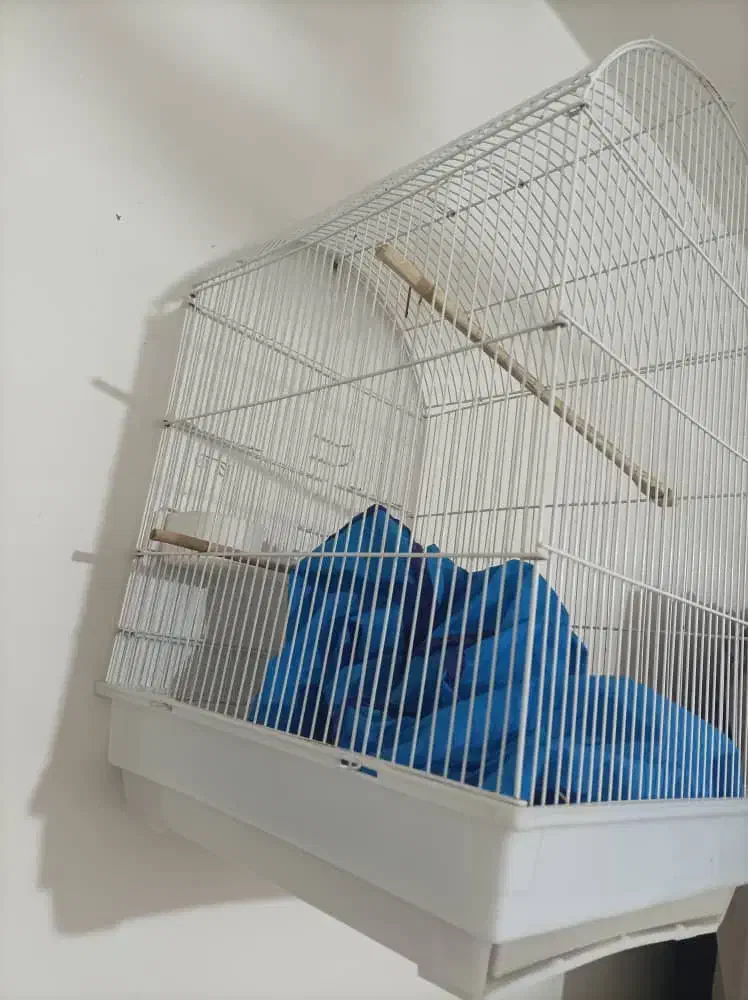 قفس|لوازم جانبی حیوانات|اهواز, بهارستان|دیوار