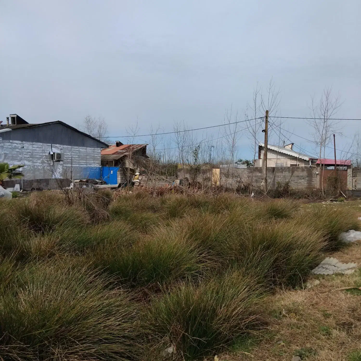 زمین مسکونی|فروش زمین و ملک کلنگی|رشت, سیا اسطلخ|دیوار