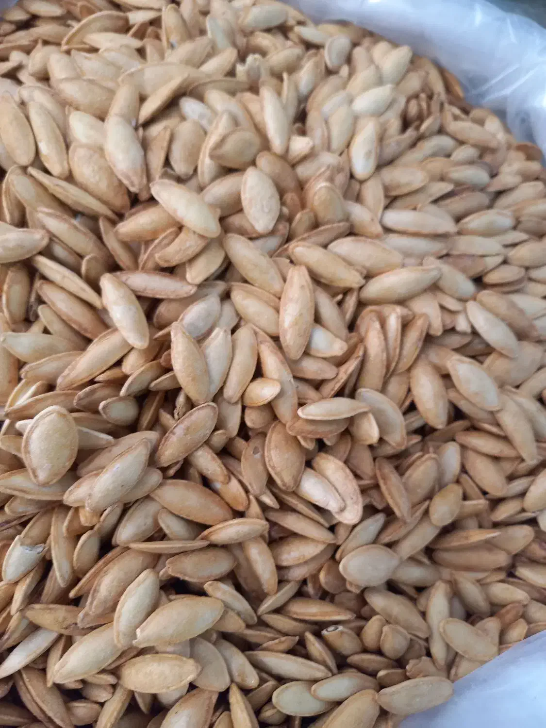 انواع اجیل پسته .|خوردنی و آشامیدنی|امیرآباد, |دیوار