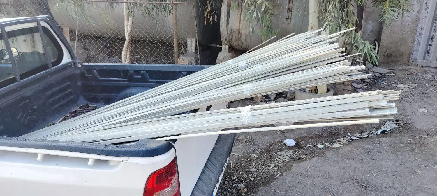 کفترنی بندی|پرنده|خاوران, |دیوار