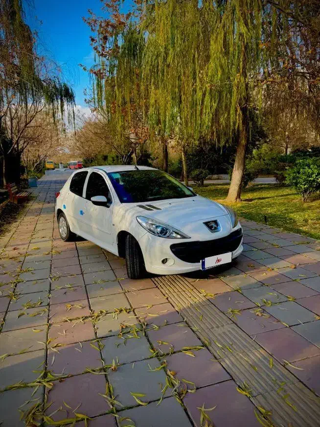 ۲۰۷ سقف فلز|خودرو سواری و وانت|تهران, صاحب الزمان|دیوار