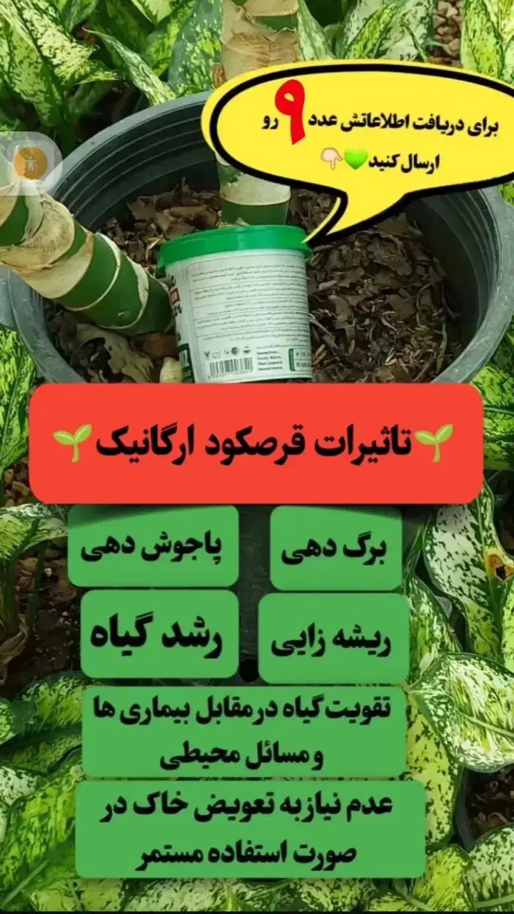 قرص کود ارگانیک|خدمات باغبانی و درختکاری|نی‌ریز, |دیوار