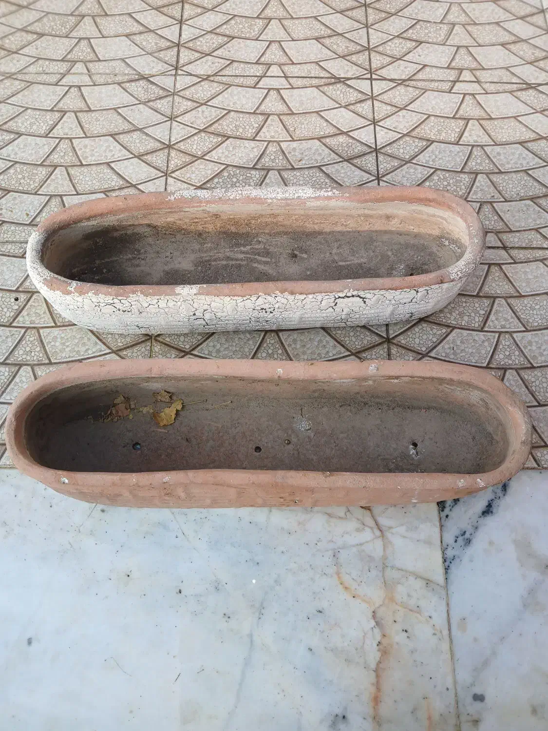 گلدان|گل و گیاه طبیعی|شاهین‌شهر, فردوسی|دیوار