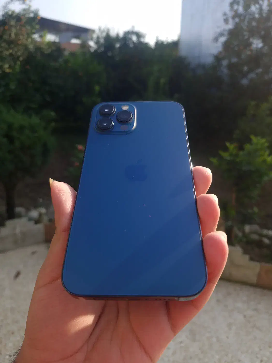 ایفون ۱۲ پرومکس 256 zaa|موبایل|قائم‌شهر, |دیوار