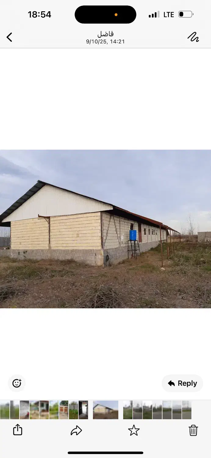 گاوداری با مجوز|فروش دفتر صنعتی، کشاورزی، تجاری|تولم شهر, |دیوار