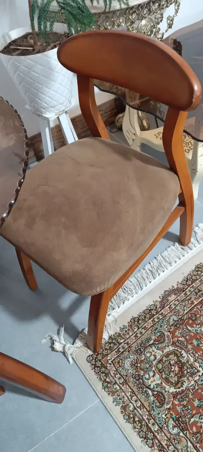 میز نهارخوری 4 نفره با صندلی های مبلی (چوب راش)|میز و صندلی غذاخوری|زرندیه, |دیوار